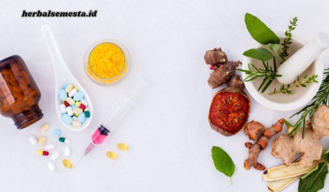 Pengobatan Herbal vs Konvensional: Mana yang Lebih Efektif?