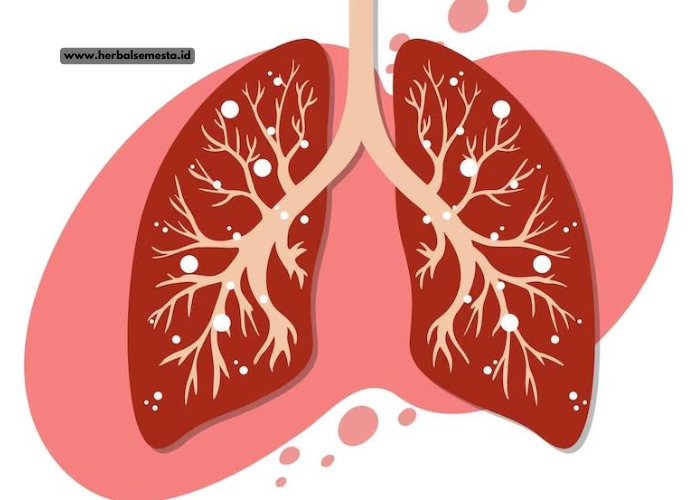 5 Tips untuk Menjaga Paru-paru Tetap Sehat