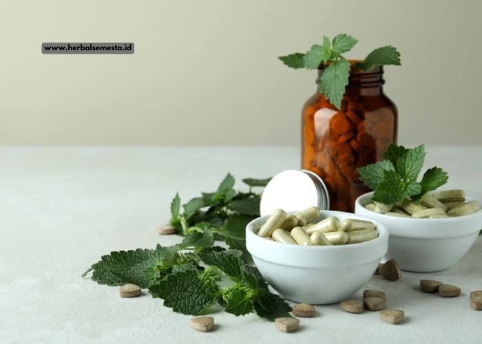 Herbal Kesehatan: Manfaat dan Khasiat Tanaman untuk Menjaga Tubuh Sehat